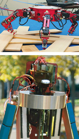 AMBLE5, top, and Bradbury, bottom, two of the pledgebots victimized
in the latest on-campus incident of robo-hazing.